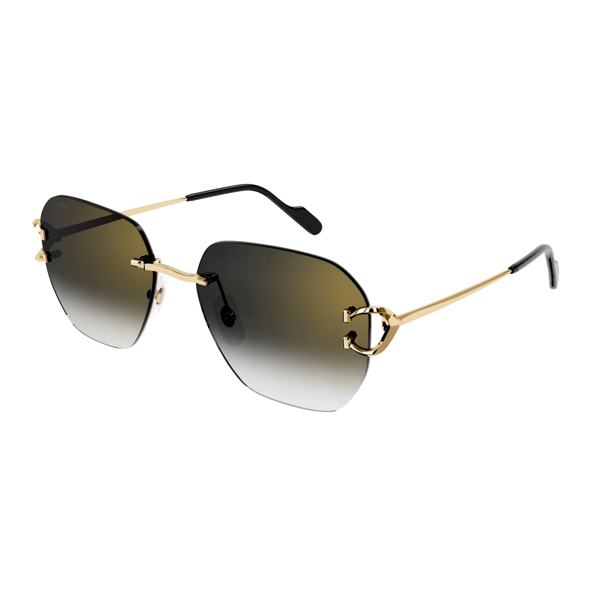 Ct0394s – Icons Miami Eyewear