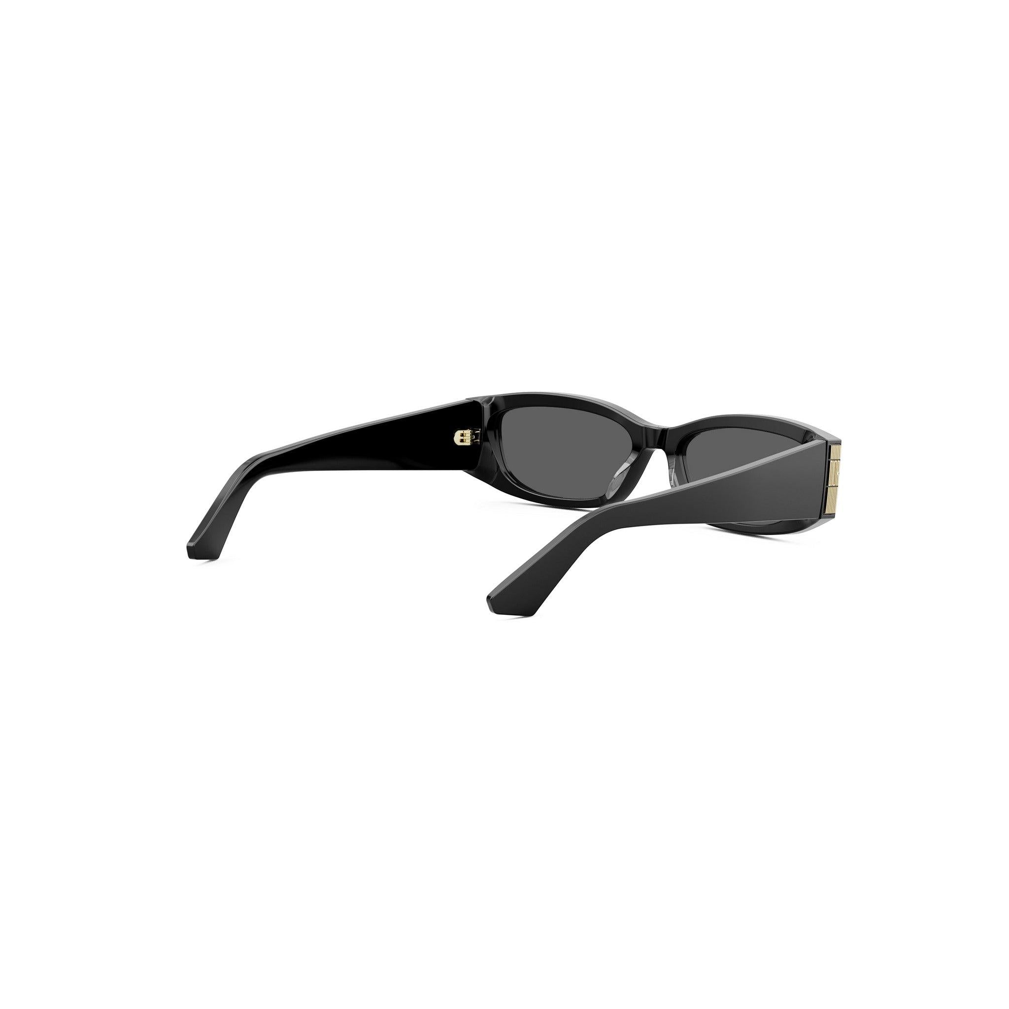 DiorGraphique S1I
