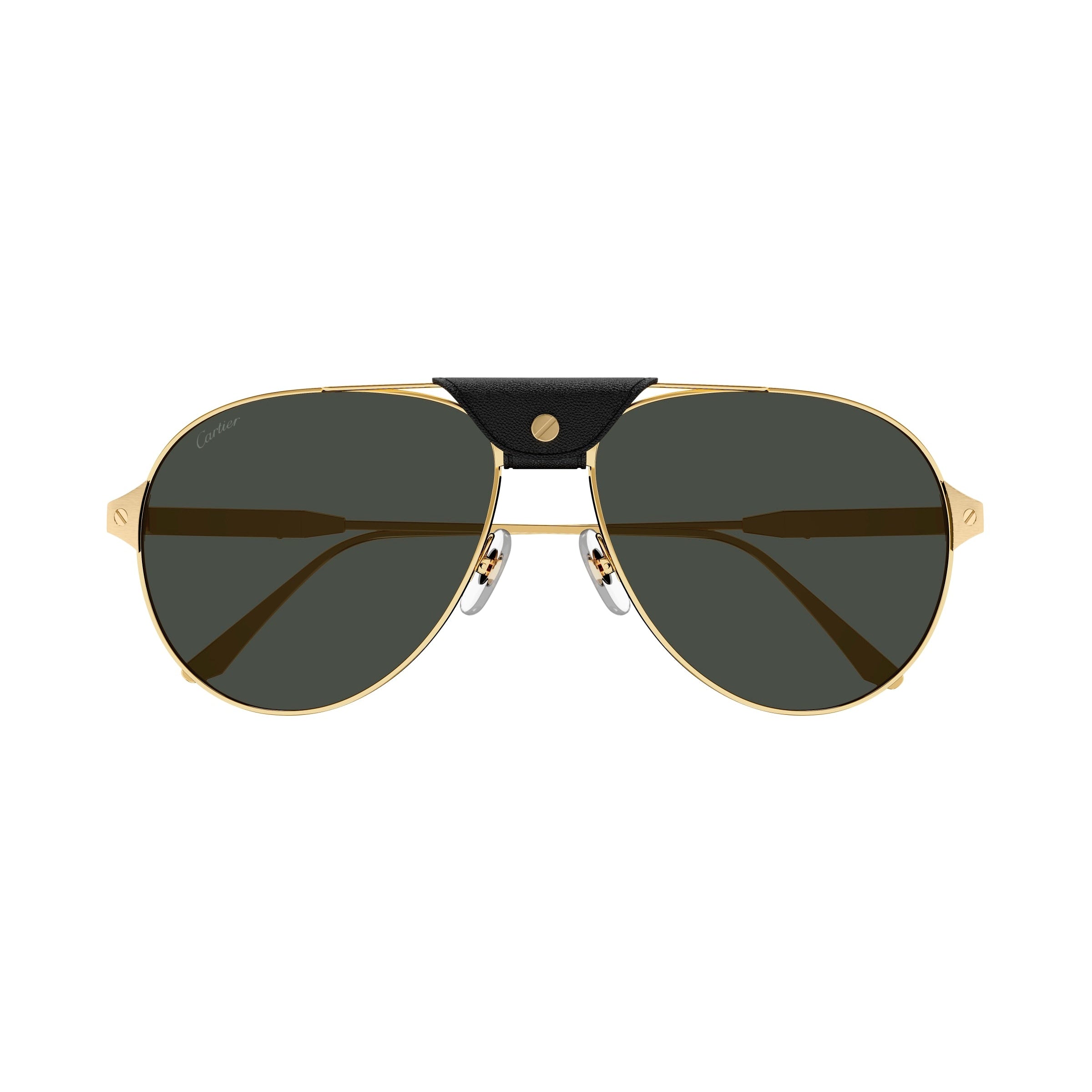 CT0387S – Icons Miami Eyewear