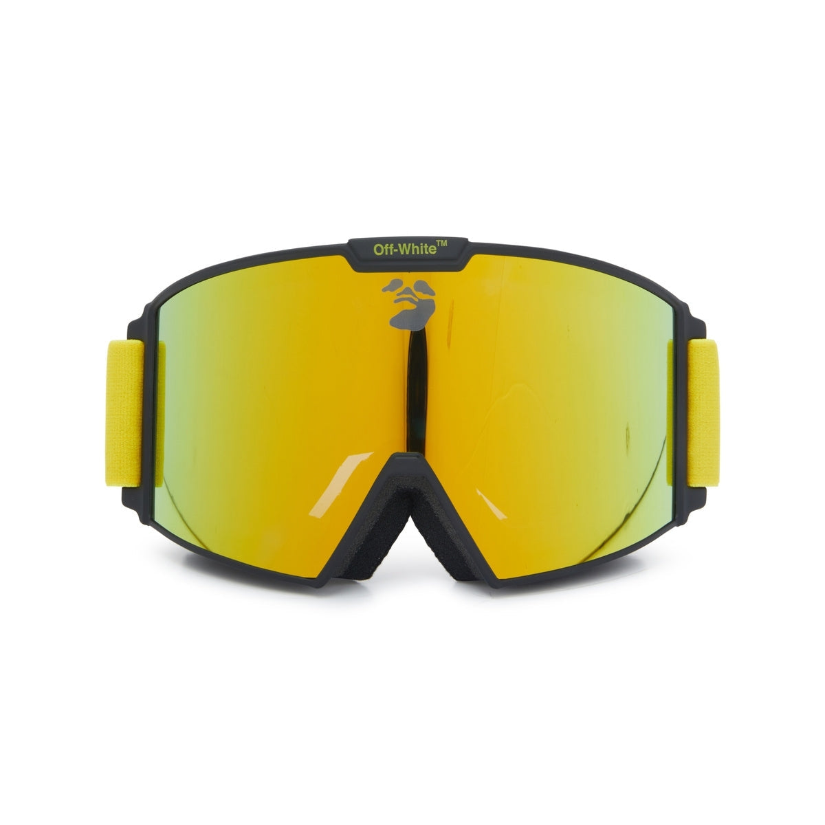 Ski Goggle