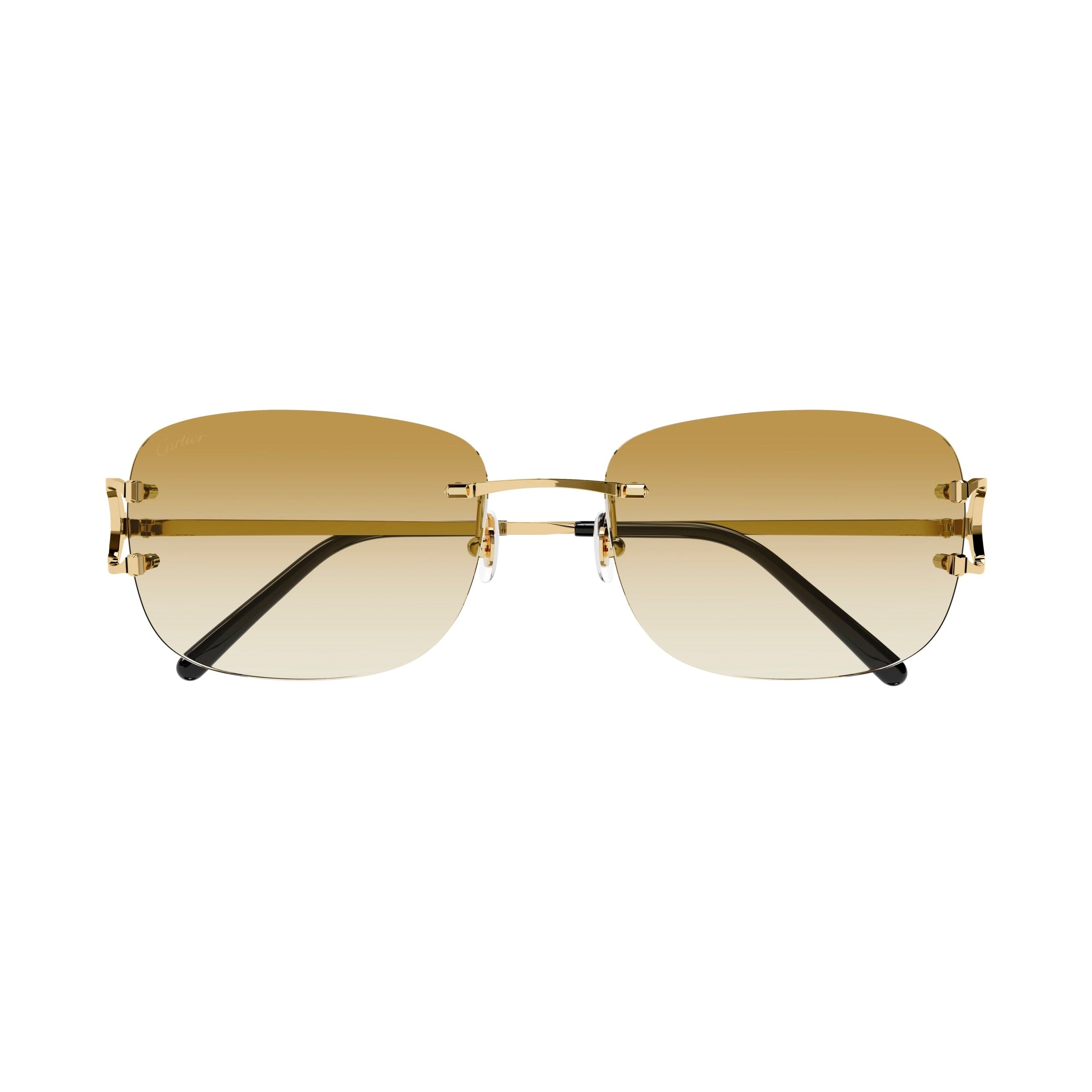 CT0011RS – Icons Miami Eyewear