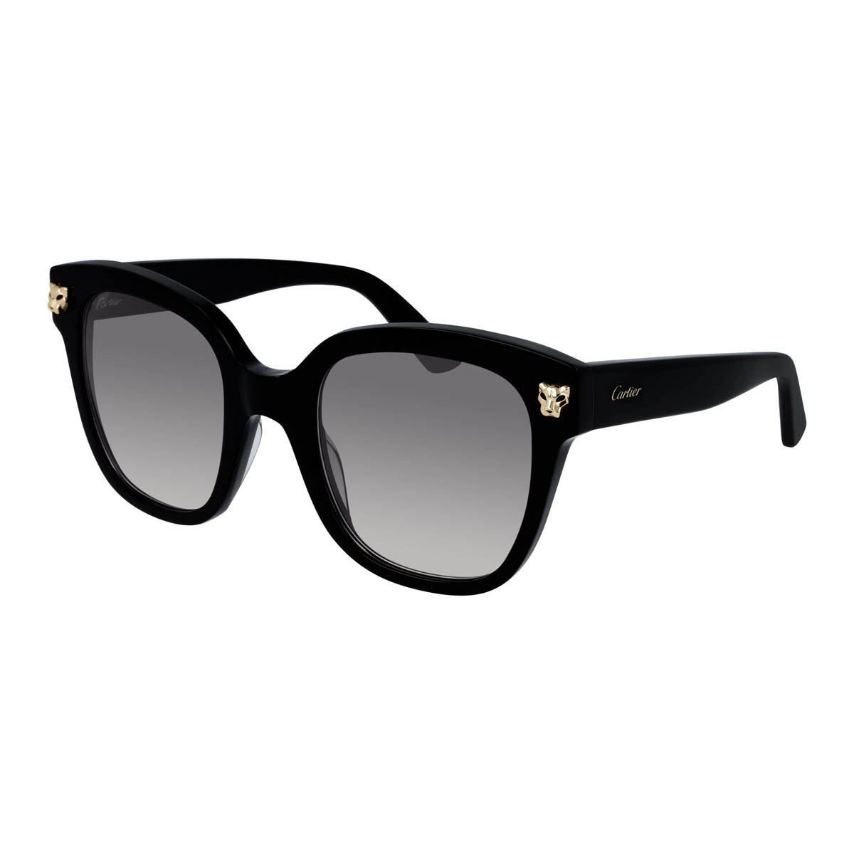 CT0143S – Icons Miami Eyewear