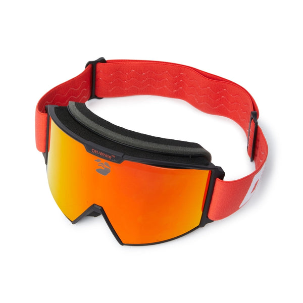 Ski Goggle